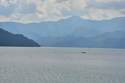 DSC_3942 (Large).JPG